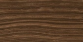 SUITE BROWN/60X120/EP