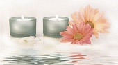 Candles 4  2545