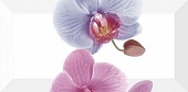 Decor Orchidea 3  10x20