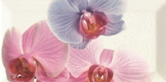 Decor Orchidea 1  10x20