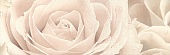 12056/3F Роза 25*75 керамический декор