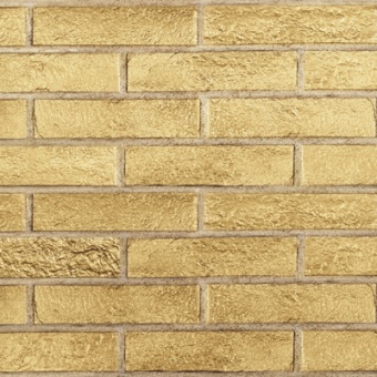 Brick Gold ( 10 )