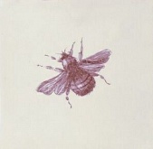  Dec. Bumblebee Marron (Crema) 13*13