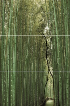 Bambu    ( 3-  ) D/E/F 5075
